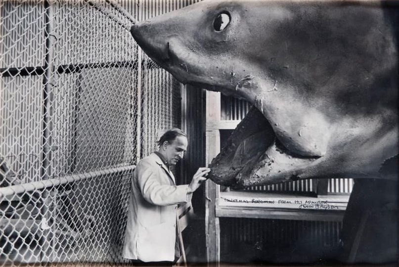 Ingmar Bergman em Hollywood, dando uma olhadinha no tubarão de Spielberg
