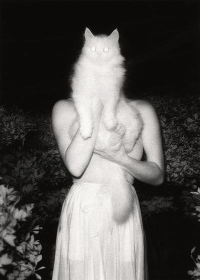 Masaaki Miyazawa, Once Upon a White Night, September 15, 1981